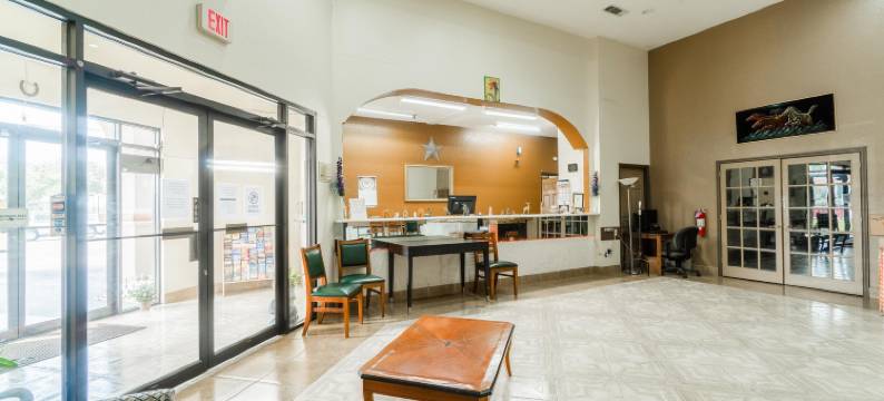 OYO 哈灵根德克萨斯州孤星旅馆及套房(Lone Star Inn & Suites by OYO Harlingen TX)图片