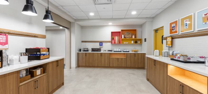 坦帕韦斯利查普尔欢朋套房酒店(Hampton Inn & Suites Tampa-Wesley Chapel)图片