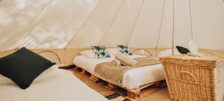塞尼奥斯的舒适帐篷(Cocooning Tipi - Seignosse)图片