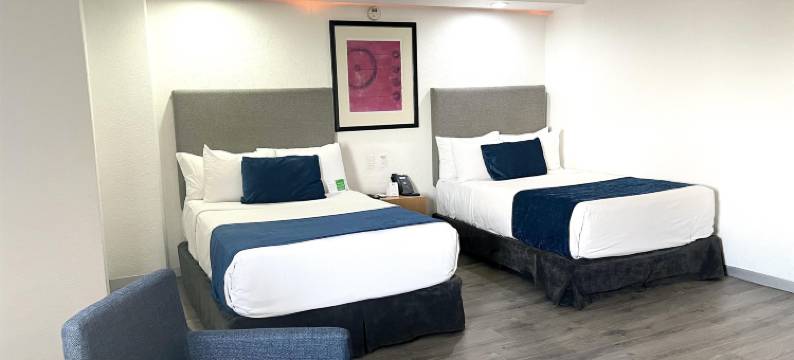 Best Western Plus Gran Hotel Centro Historico图片