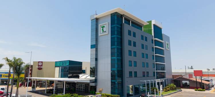 伊拉普阿托假日酒店(Holiday Inn IRAPUATO by IHG)图片