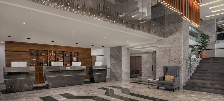 福朋喜来登阿克拉机场酒店(Four Points by Sheraton Accra Airport Hotel)图片
