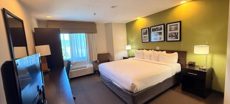 舒眠酒店及套房(Sleep Inn & Suites)图片