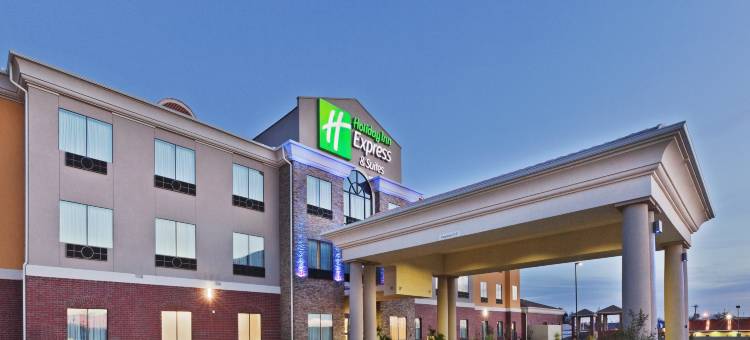 智选假日套房酒店布朗菲尔德(Holiday Inn Express & Suites BROWNFIELD by IHG)图片
