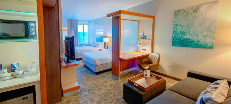 梅肯SpringHill Suites酒店(SpringHill Suites Macon)图片