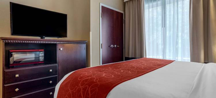 拜洛希海洋温泉舒适套房酒店(Comfort Suites Biloxi/Ocean Springs)图片