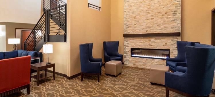 舒适套房酒店(Comfort Suites)图片