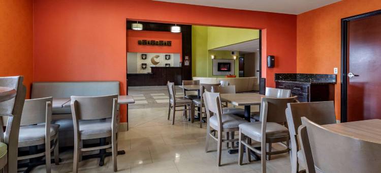 曼斯费尔德舒适套房酒店(Comfort Inn & Suites Mansfield)图片