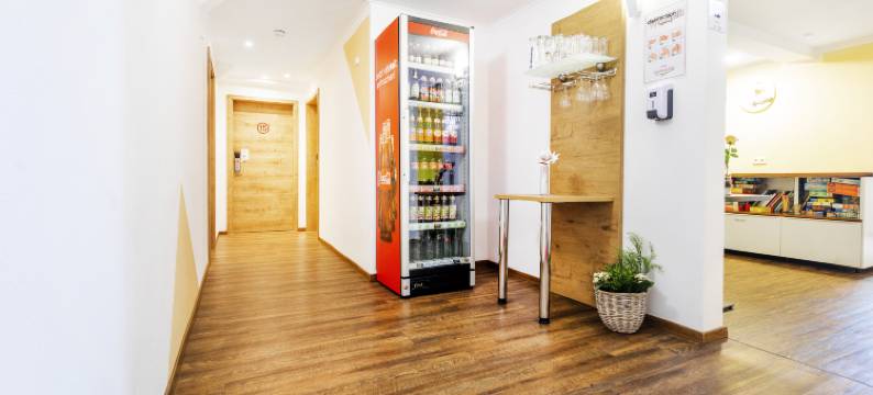 金茨堡城市酒店(Günzburg City)图片