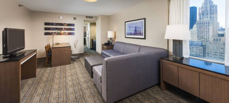 芝加哥市中心华丽一英里希尔顿安泊酒店(Embassy Suites by Hilton Chicago Downtown Magnificent Mile)图片