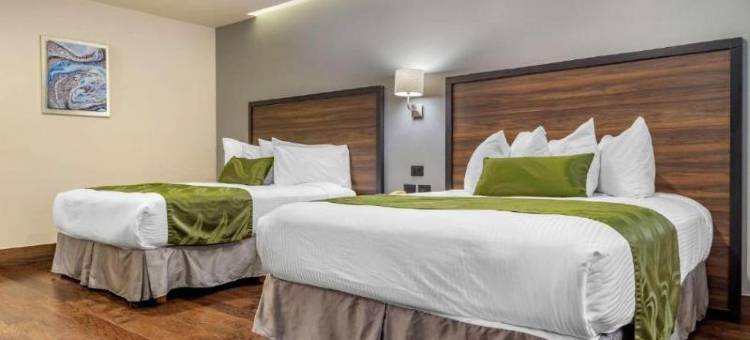 凯艺酒店-三藩市奇瓦瓦(Quality Inn Chihuahua San Francisco)图片