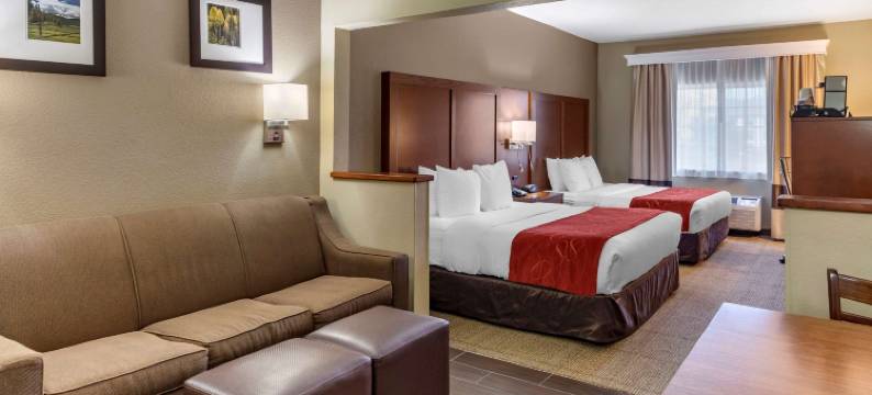 柯林斯堡大学附近舒适套房酒店(Comfort Suites Fort Collins Near University)图片