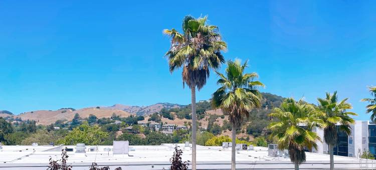 圣拉斐尔福朋喜来登酒店(Four Points by Sheraton San Rafael Marin County)图片