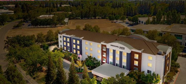 萨克拉门托纳多马斯万豪SpringHill酒店(SpringHill Suites Sacramento Natomas)图片