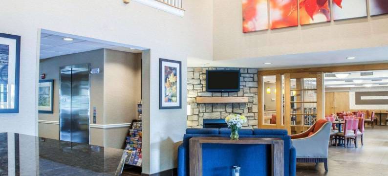 舒适套房酒店(Comfort Inn & Suites Sturbridge-Brimfield)图片