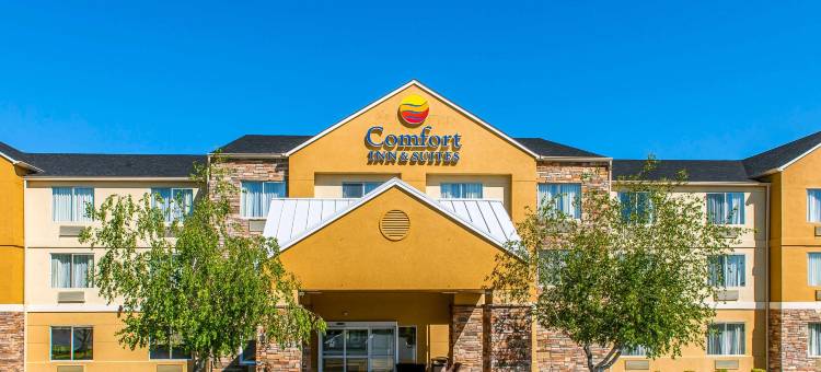 舒适套房酒店(Comfort Inn & Suites)图片