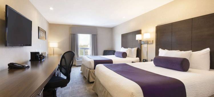 梅迪辛哈特戴斯酒店(Days Inn by Wyndham Medicine Hat)图片