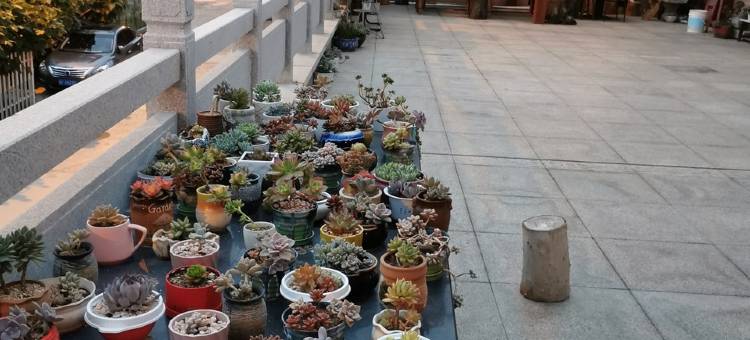精品观海别墅近海水浴场(远遥路分店)图片
