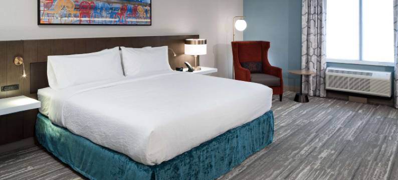 麦迪逊市中心希尔顿花园酒店(Hilton Garden Inn Madison Downtown)图片