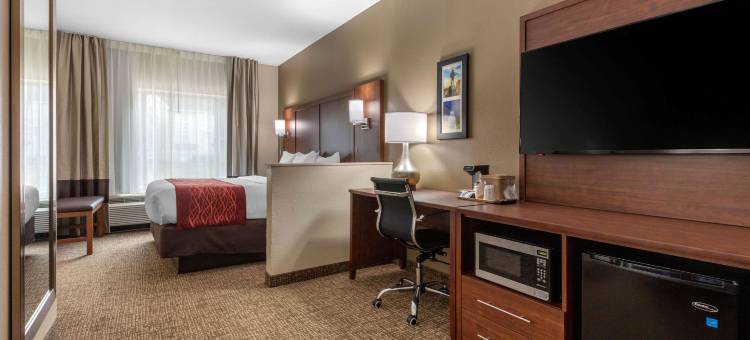 蒙哥马利东卡迈克尔路舒适套房酒店(Comfort Inn & Suites Montgomery East Carmichael Rd)图片