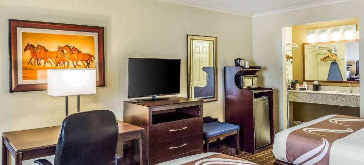 凯艺套房酒店(Quality Inn & Suites)图片