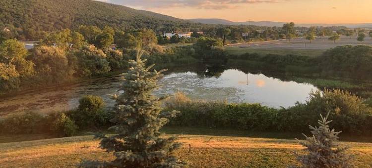 比格弗拉兹埃尔迈拉丽怡酒店(Country Inn & Suites by Radisson, Big Flats (Elmira), NY)图片