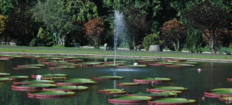 法斯特豪斯 Syariah 茂物 Mitra 红门(Fast Hous Syariah Bogor Mitra RedDoorz)图片