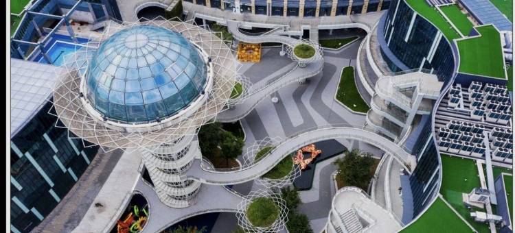 乐清缘宿民宿图片