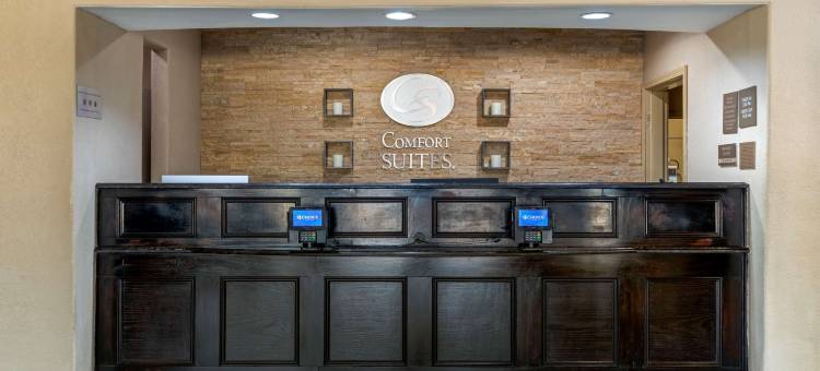 舒适套房酒店-盖恩斯维尔(Comfort Suites Gainesville)图片