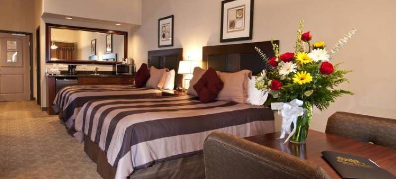 基林希洛酒店(Shilo Inn Killeen)图片