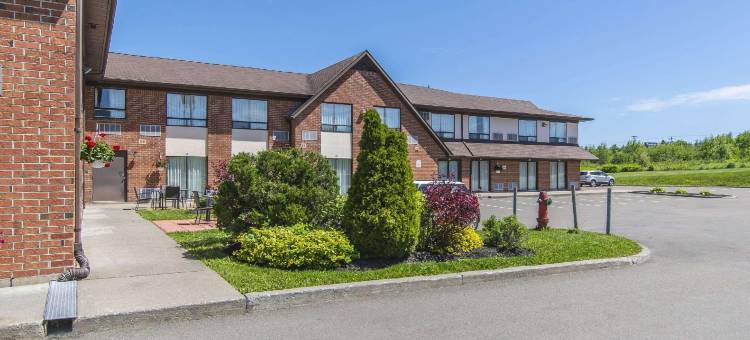 磁山舒适酒店(Comfort Inn Magnetic Hill)图片