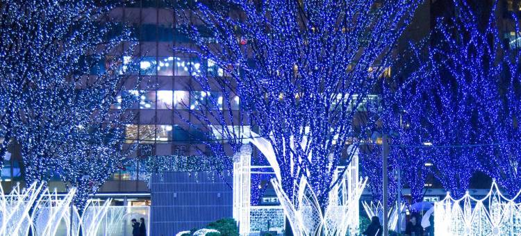 博多祗园大和ROYNET酒店(Daiwa Roynet Hotel Hakata-Gion)图片