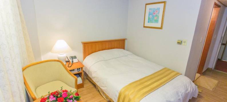 春川世宗酒店(Sejong Hotel Chuncheon)图片