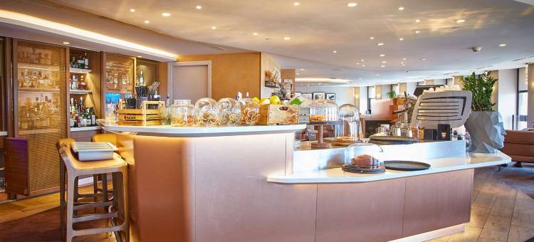 里昂丽笙蓝标酒店(Radisson Blu Hotel, Lyon)图片