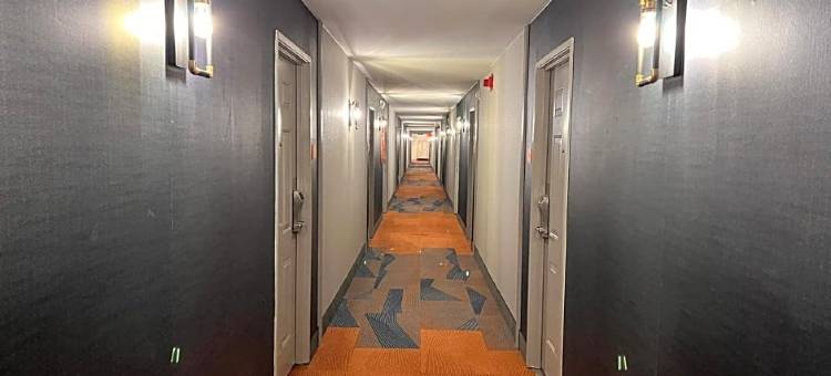 列克星敦拉昆塔温德姆酒店(La Quinta Inn Lexington/Horse Park)图片