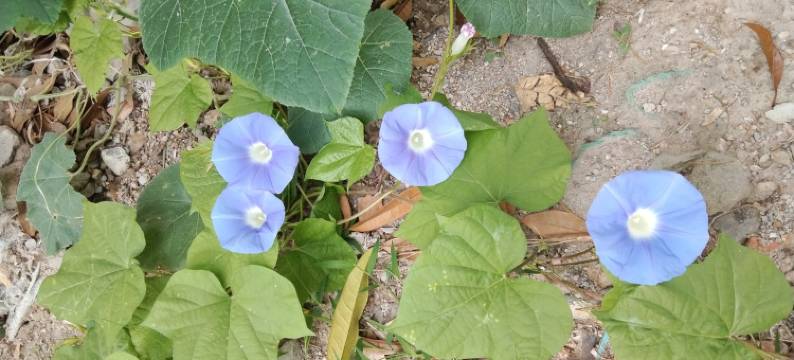 南山麓公寓(江滨中路分店)图片