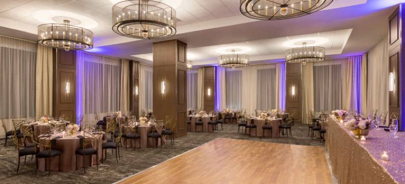 匹兹堡中心希尔顿安泊酒店(Embassy Suites by Hilton Pittsburgh Downtown)图片