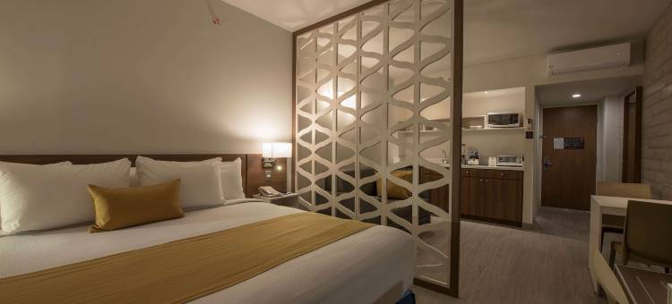 瓜达拉哈拉南部温德姆麦客达酒店(Microtel Inn & Suites by Wyndham Guadalajara Sur)图片