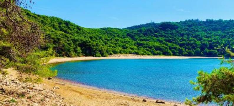 Guest House Ruža图片