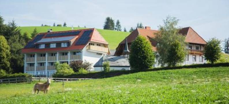 索恩纽豪瑟尔酒店(Landhotel Sonne Neuhäusle)图片