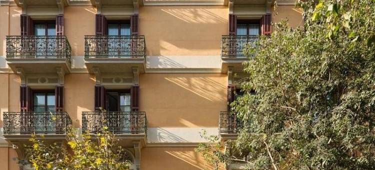 H10卡萨米莫萨酒店(H10 Casa Mimosa)图片