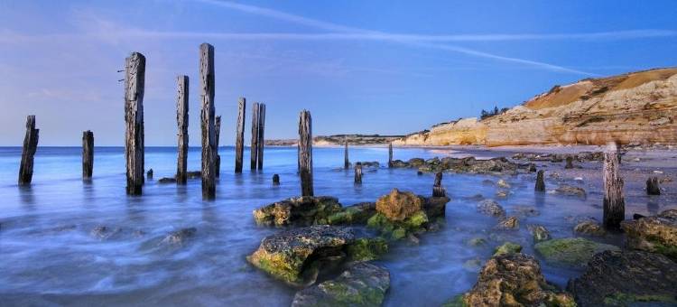 四大港口威伦加旅游公园露营地(BIG4 Port Willunga Tourist Park)图片