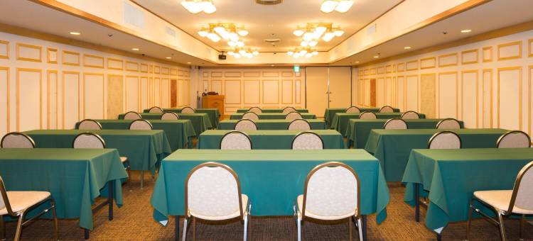 大分世纪酒店(Oita Century Hotel)图片