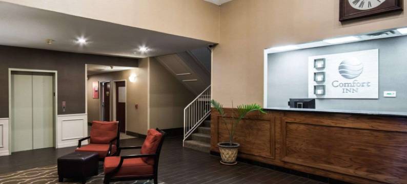 红橡木舒适酒店(Comfort Inn & Suites)图片