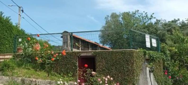 佩尼拉乡村民宿(Quinta Da Penela)图片