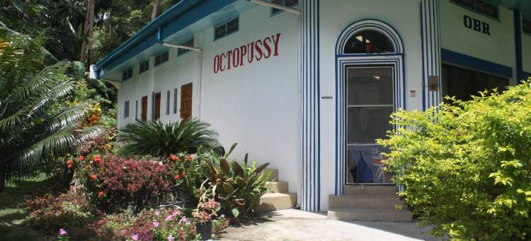 Octopussy Bungalow Beach Resort图片