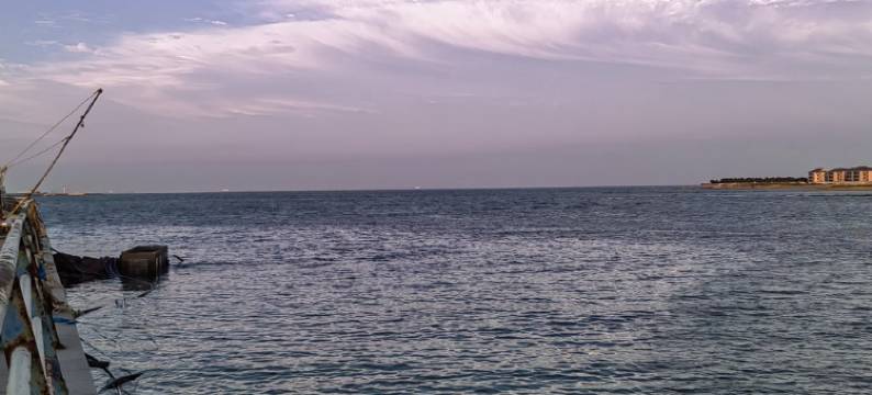 青朴农家院民宿(北海路分店)图片