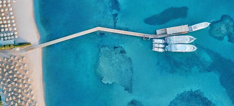 贾兹阿夸维瓦(JAZ Aquaviva)图片