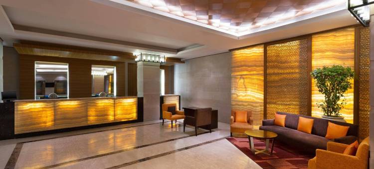 齐普尔市广场福朋喜来登酒店(Four Points by Sheraton Jaipur, City Square)图片