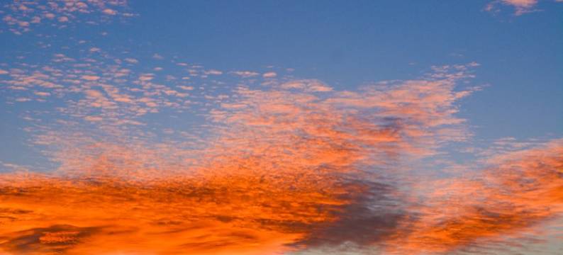 萤火之森公寓(滨河路分店)图片